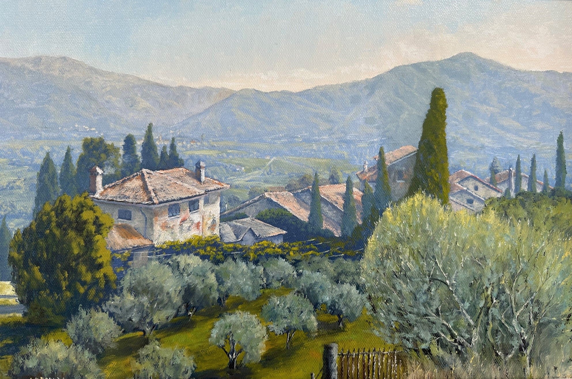 Ancient Olives Tuscan Valley