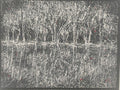 Barmah Forest in Flood (Artists Collection)