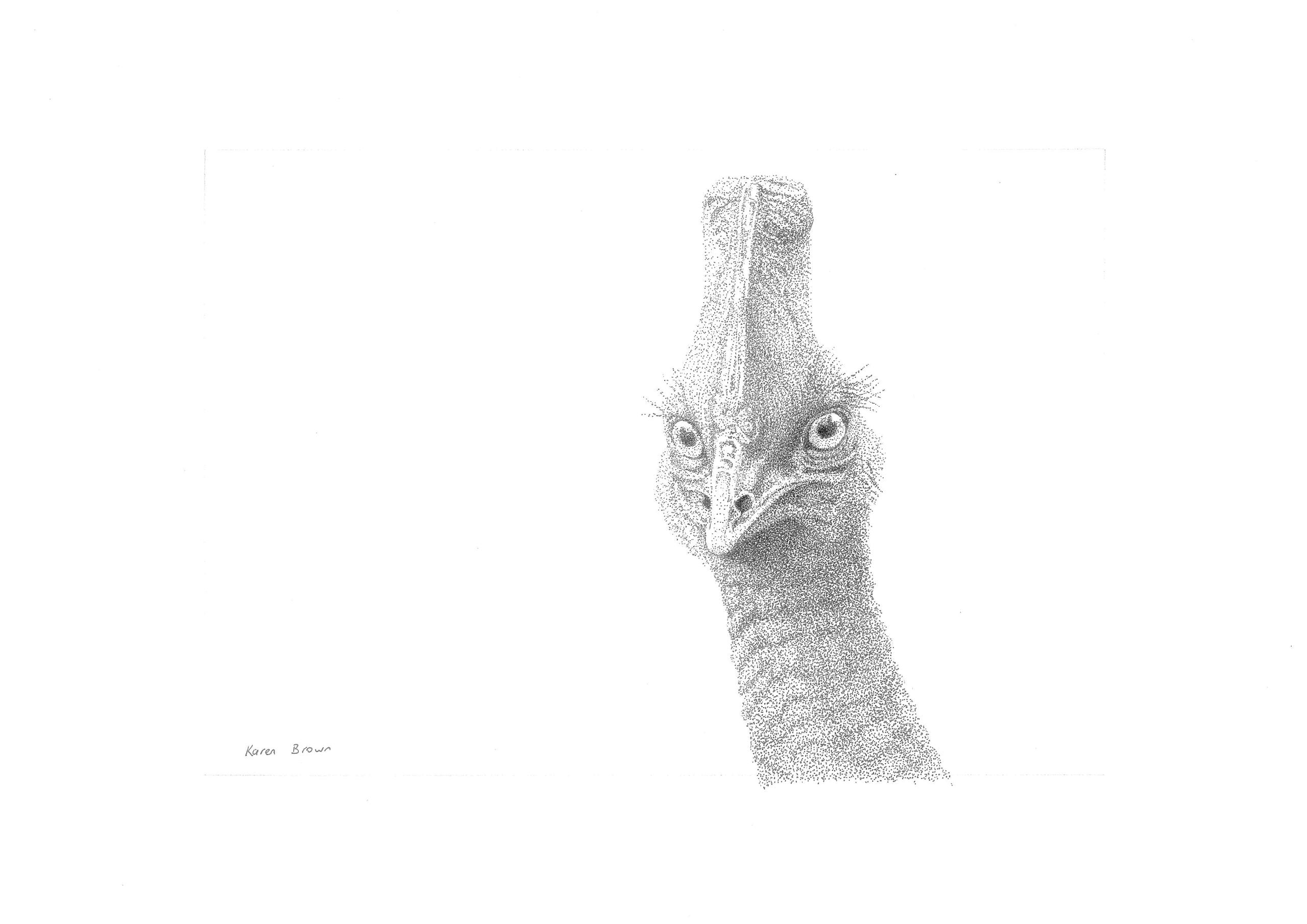 Australia’s Most Wanted: Stella