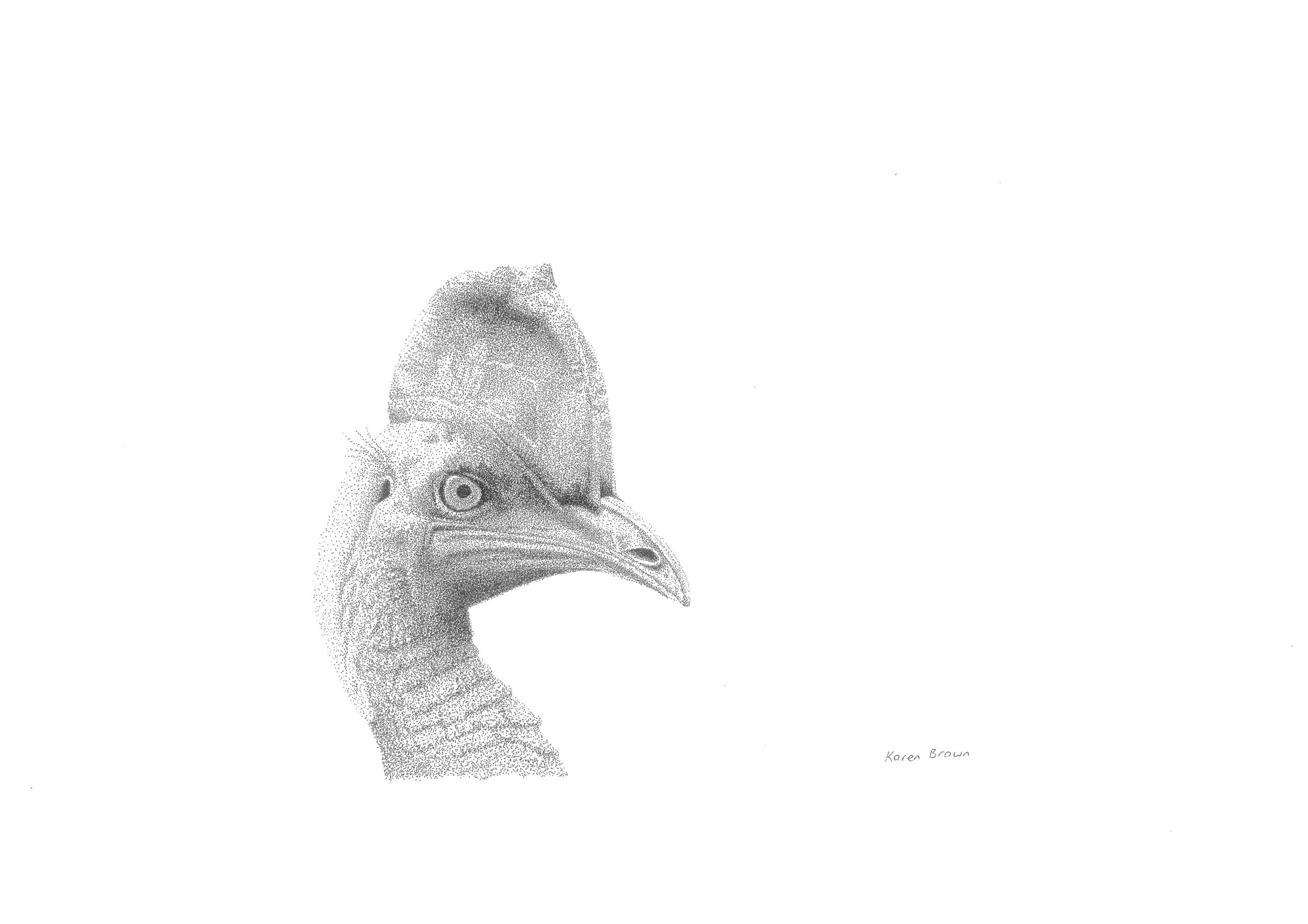 Australia’s Most Wanted: Wazza