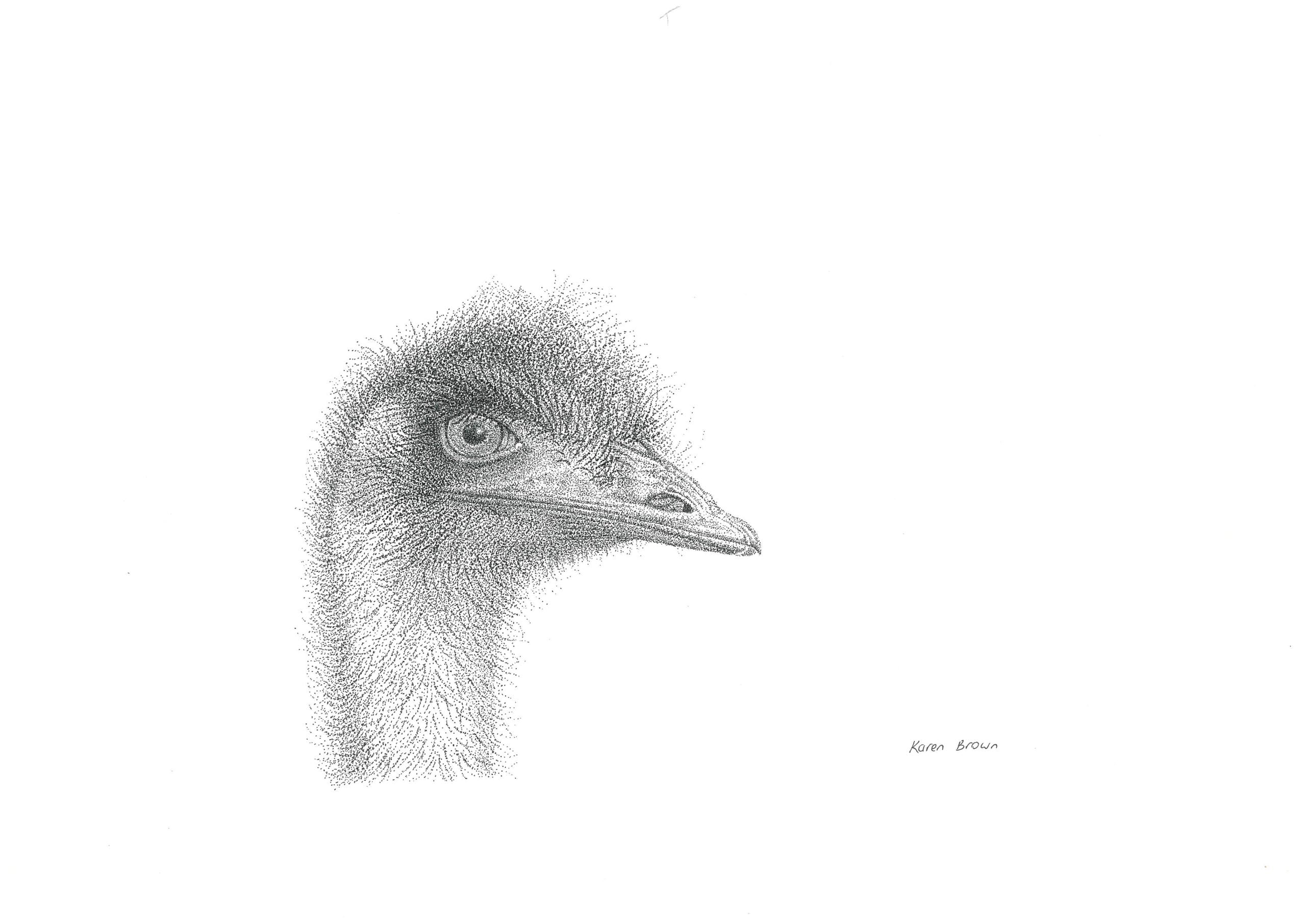 Australia’s Most Wanted: Paul