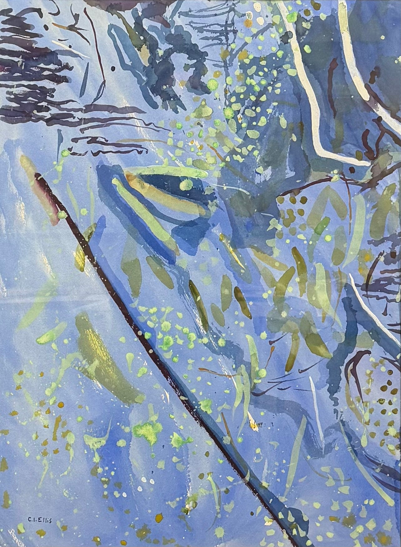 Floating Gum Leaves