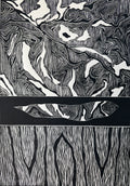 Canoe Tree