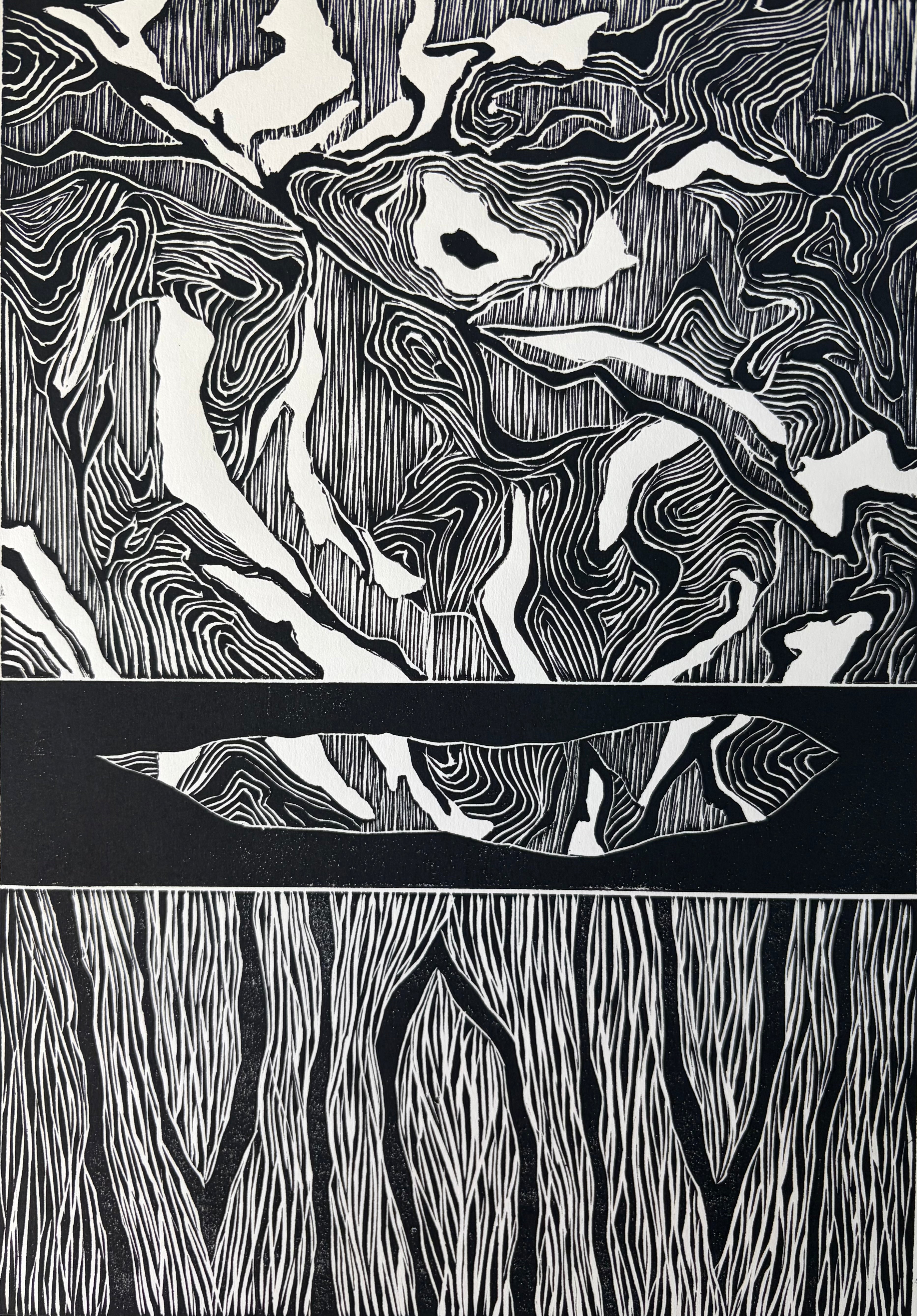 Canoe Tree