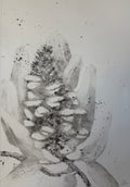Banksia #5