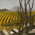 Spring Crops
