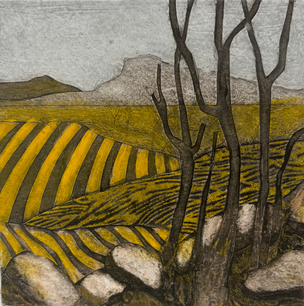 Spring Crops