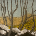 Rocky ground