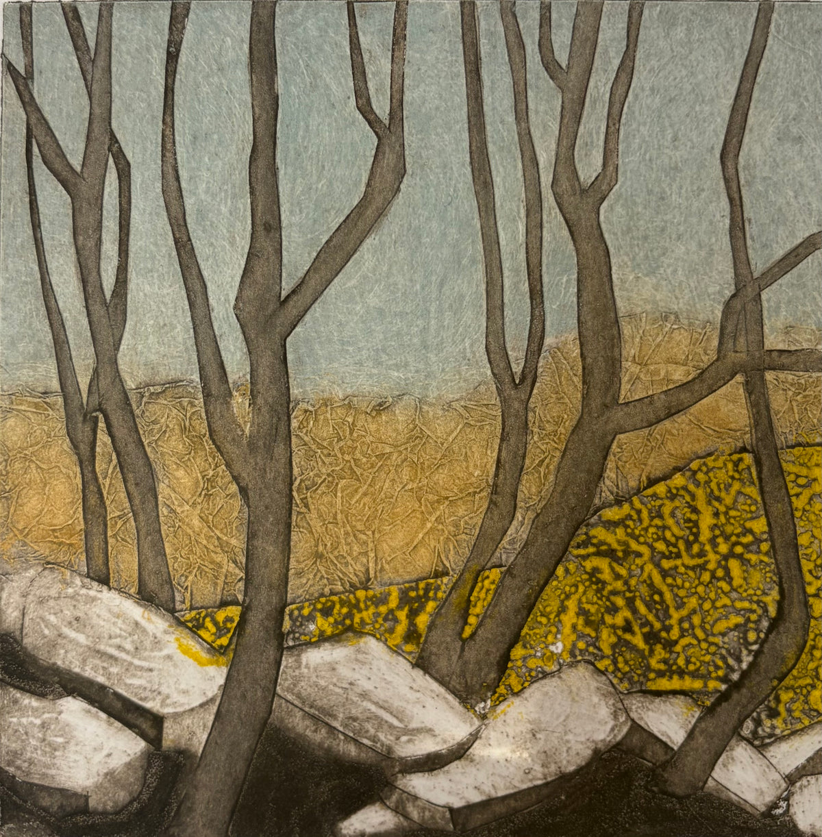 Rocky ground