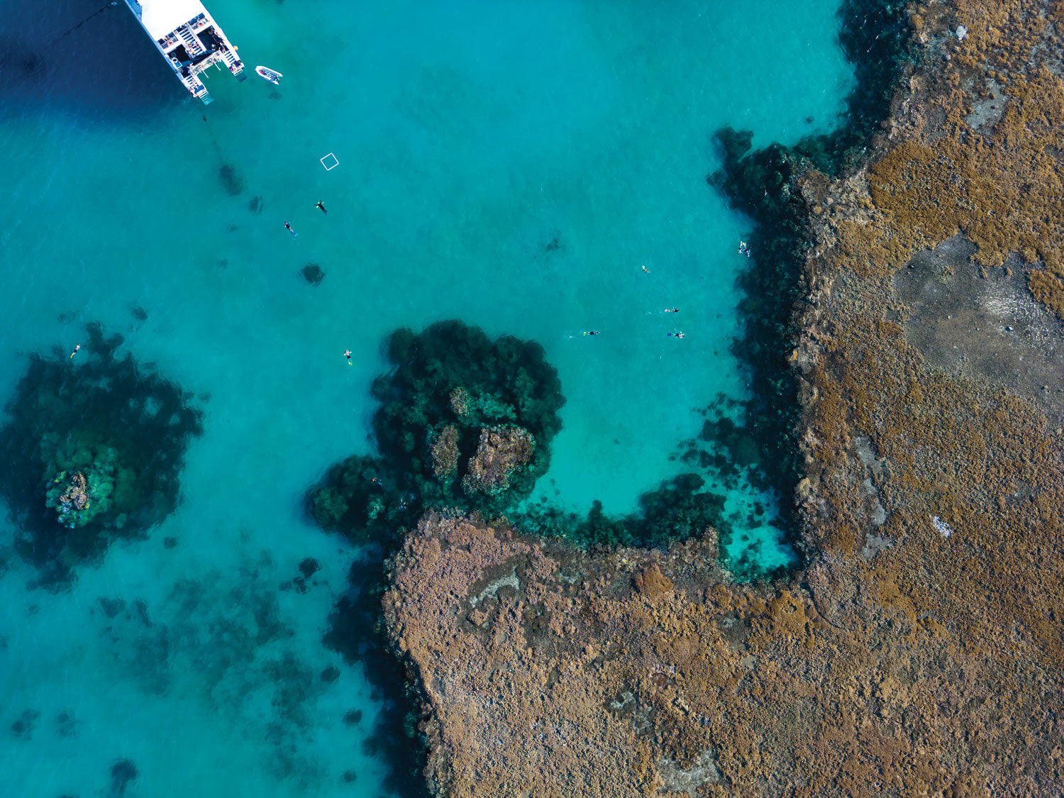 Lady Musgrave Island, QLD