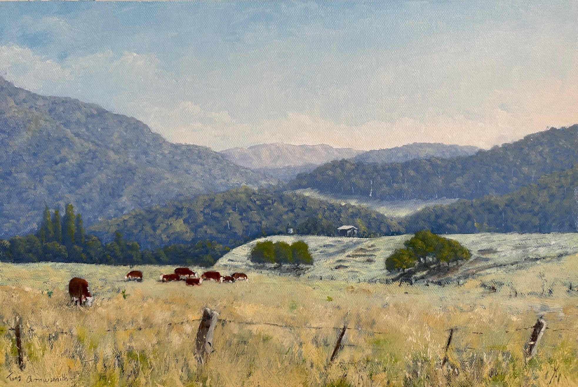 Mitta Mitta Valley