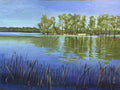 Murary River in Flood