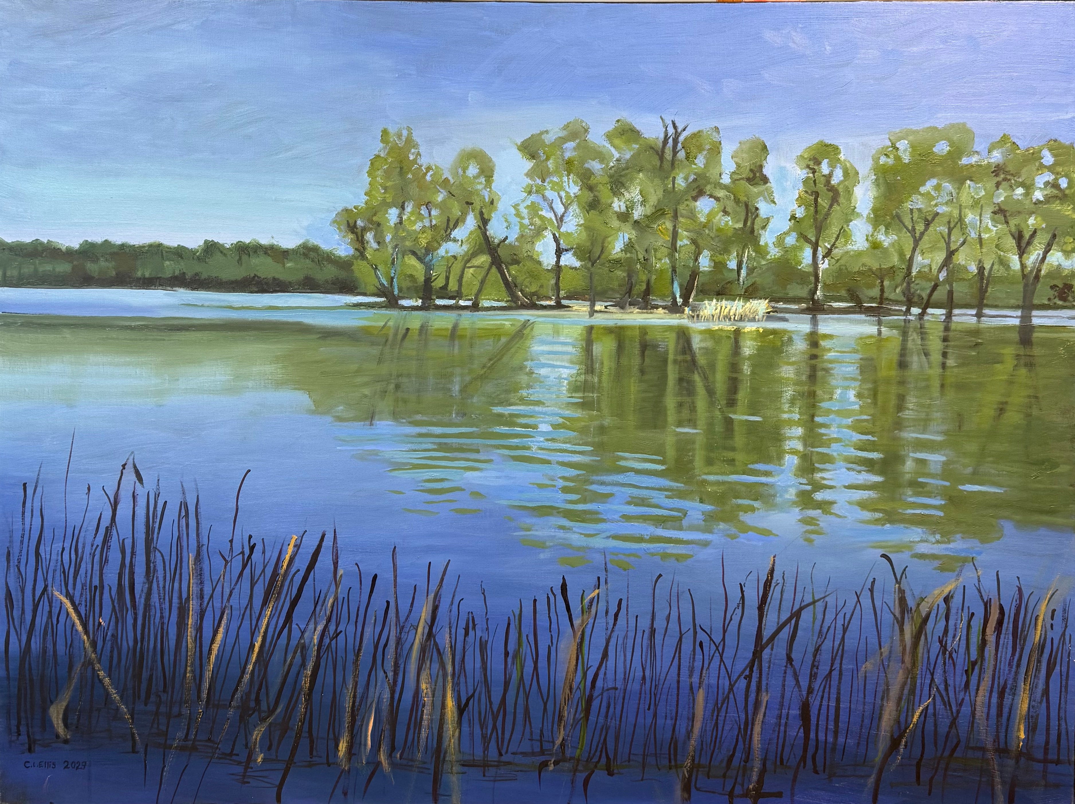 Murary River in Flood