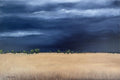 Petrichor #14