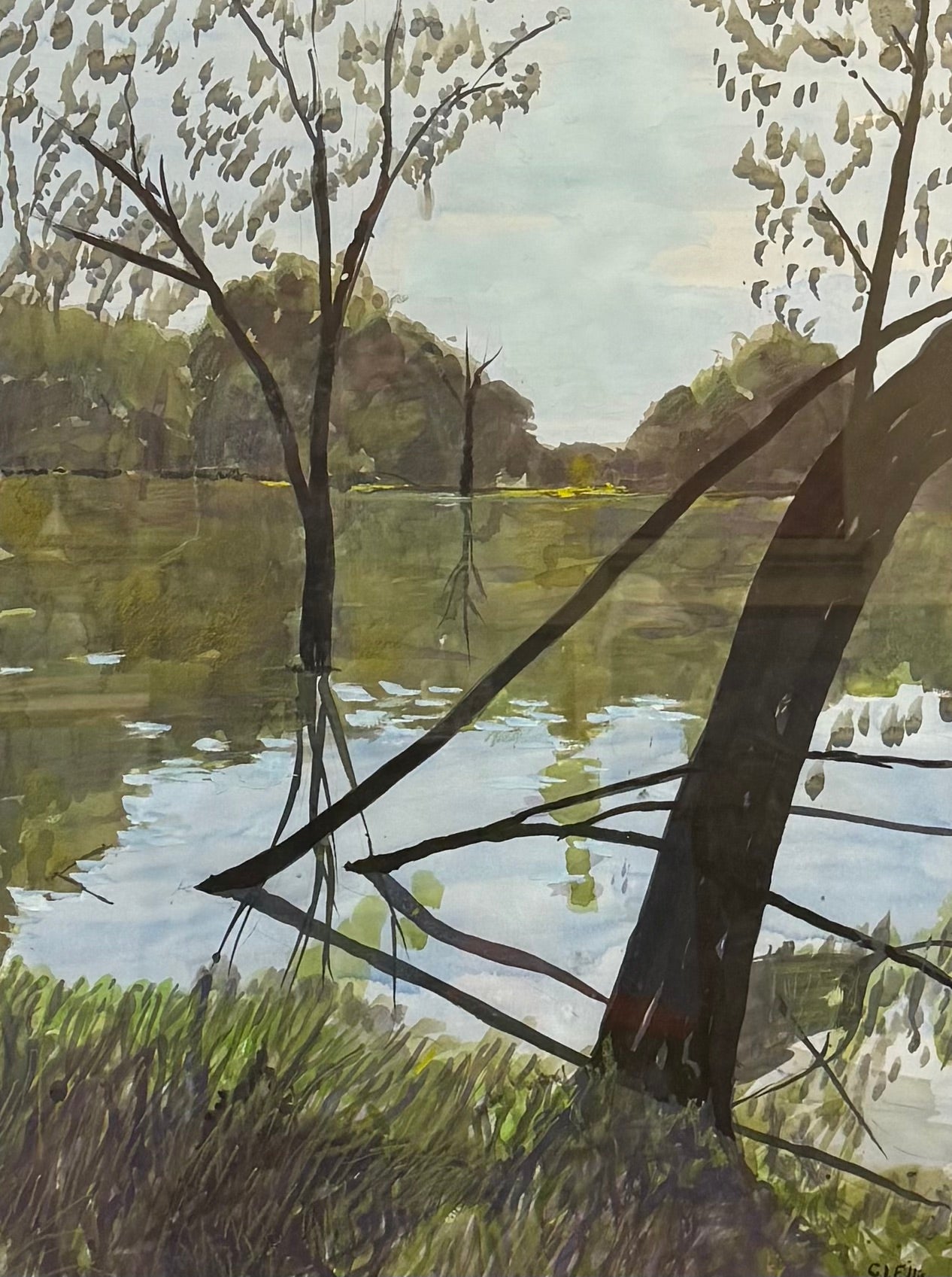 Reflections IV