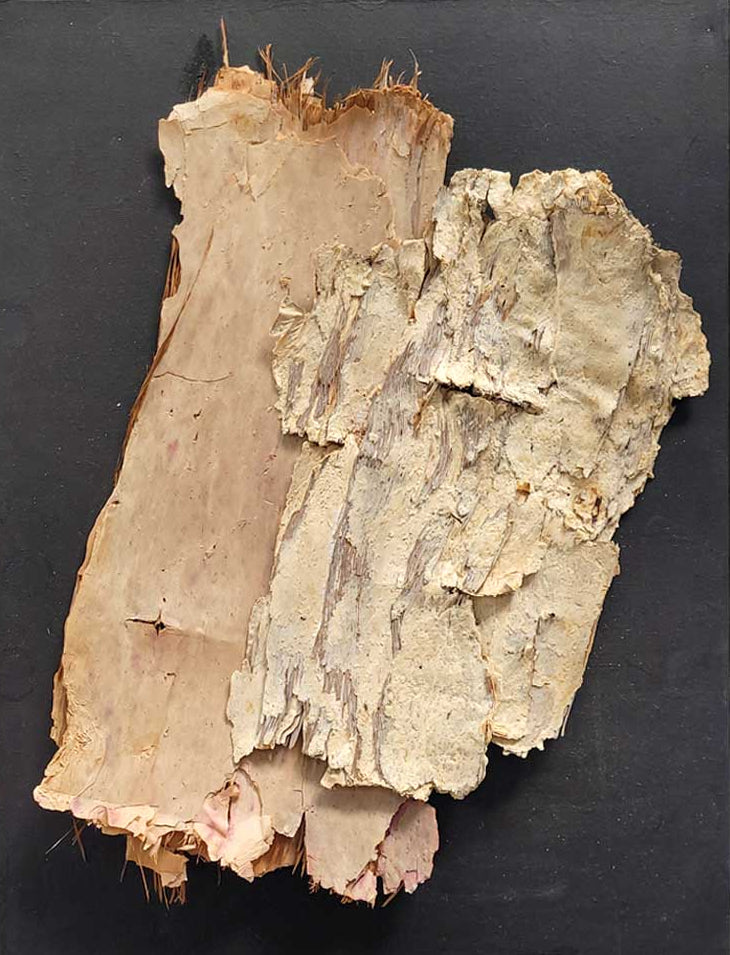 Symphony in Black #10