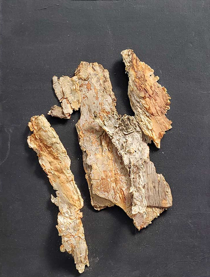 Symphony in Black #2