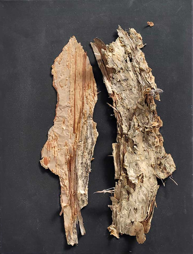 Symphony in Black #6