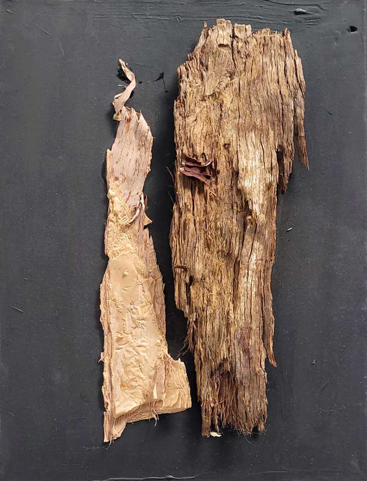 Symphony in Black #8