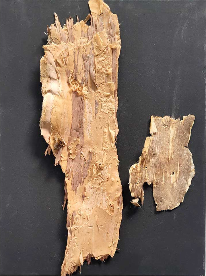 Symphony in Black #9