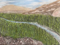 The River 1
