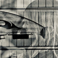 The Swan of Tuonela