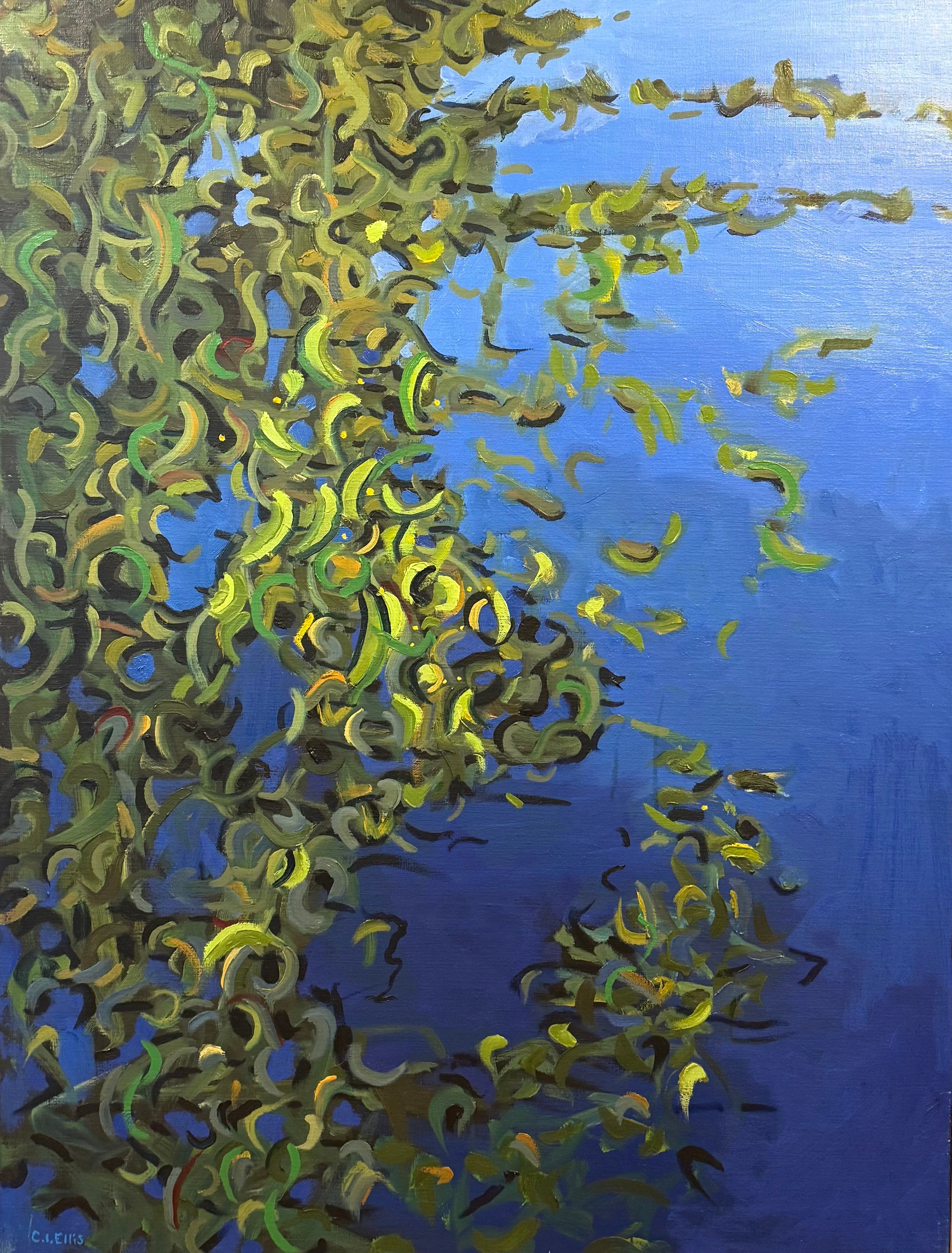 Wild Willow
