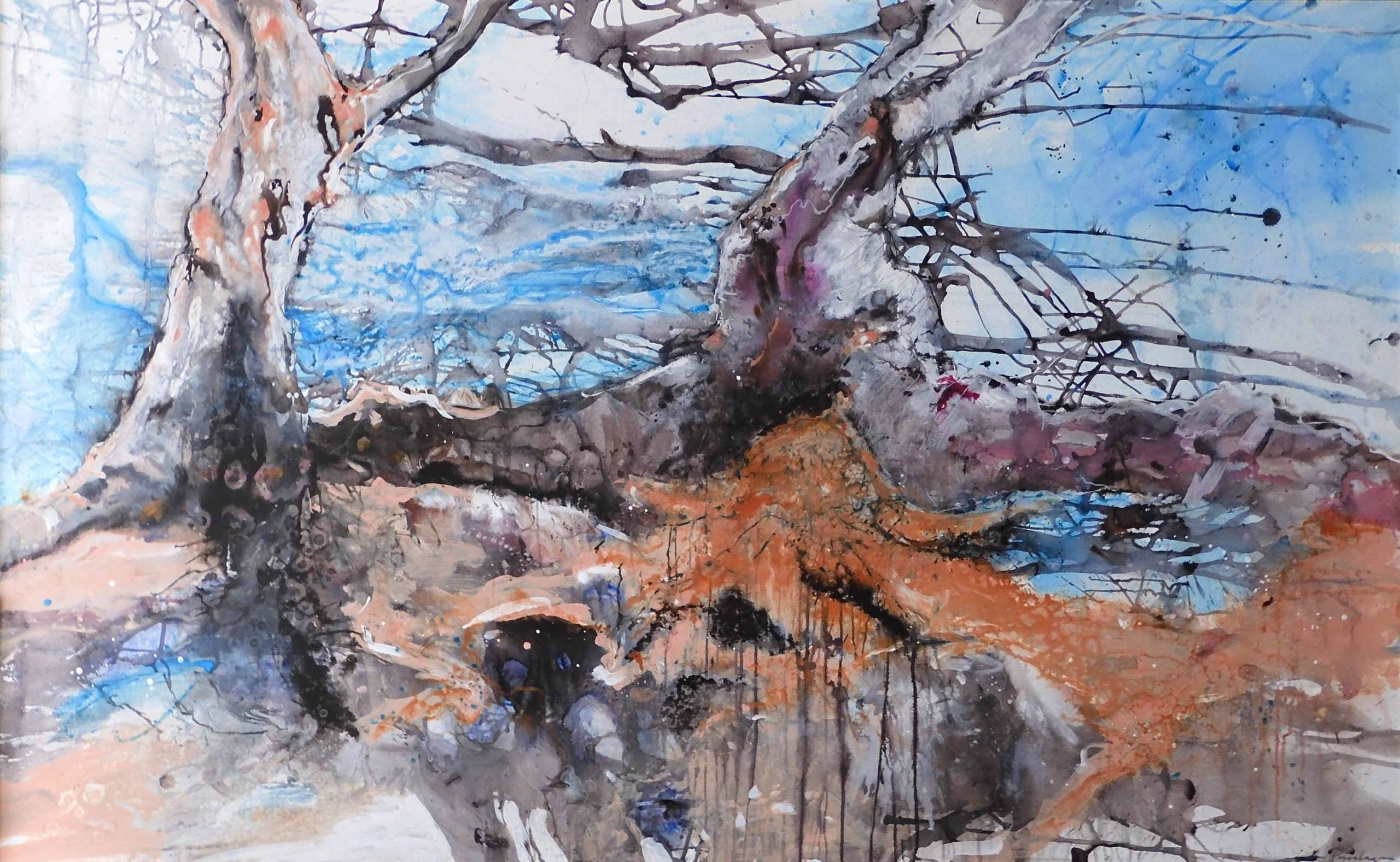 Whispering Gums on Ephemeral Wetlands