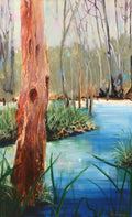 Wonga Wetlands #2