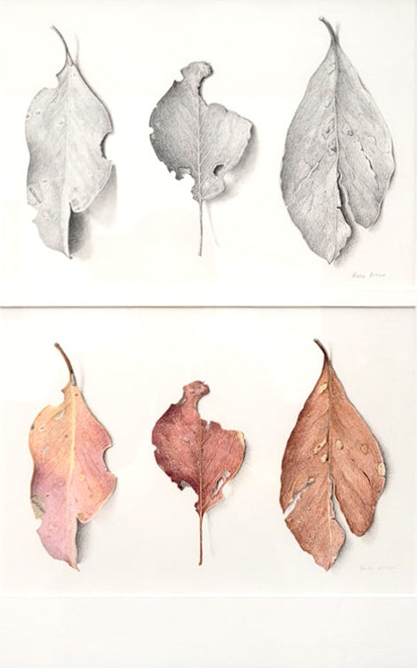 A Different Point of View