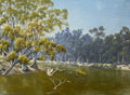 Renmark Billabong