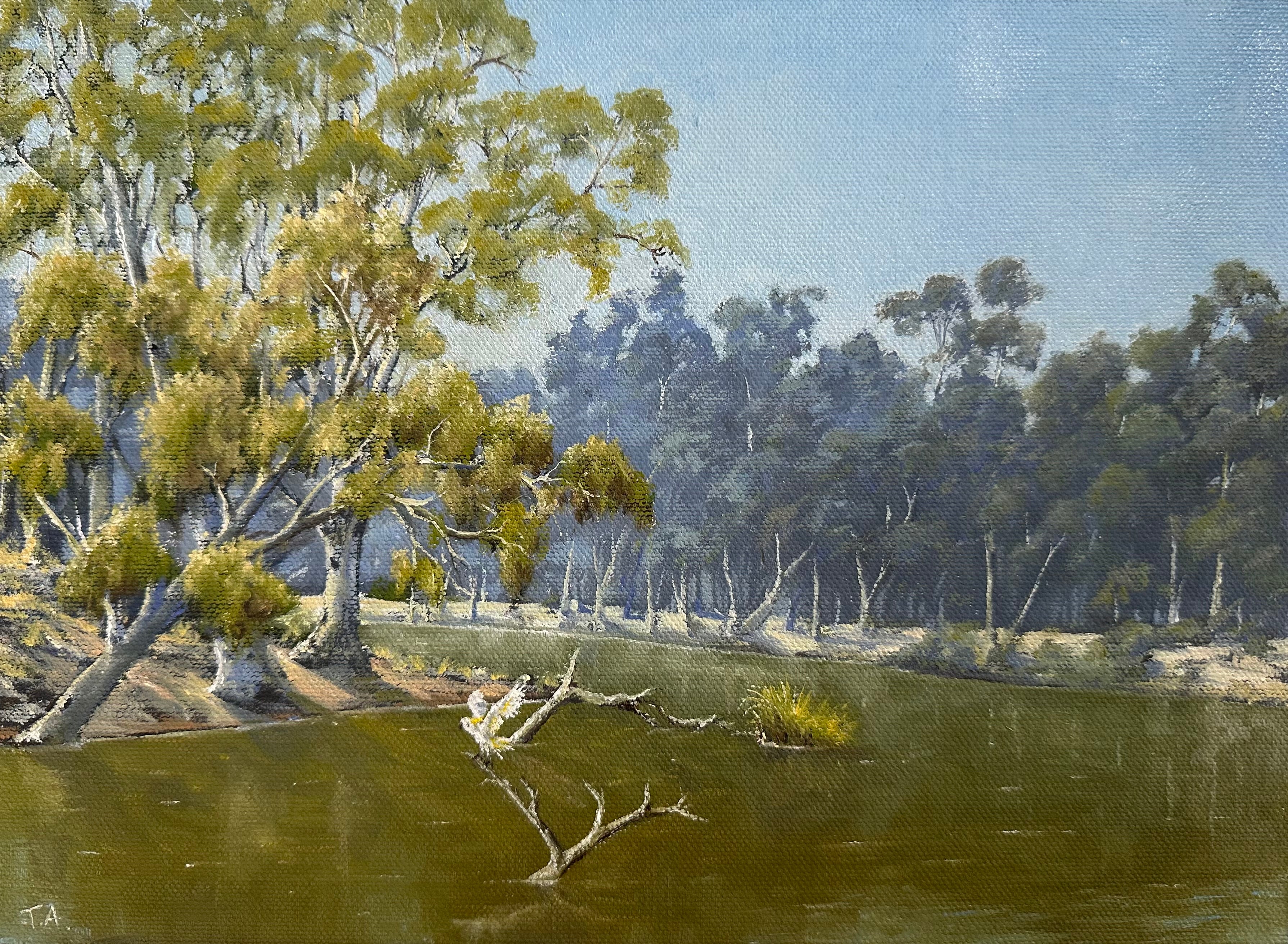 Renmark Billabong