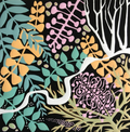 Pink Grevillea Dreaming 1/10