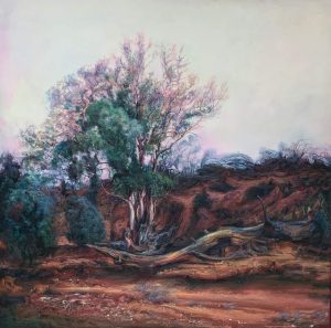 art for sale Australian artists Albury Wodonga